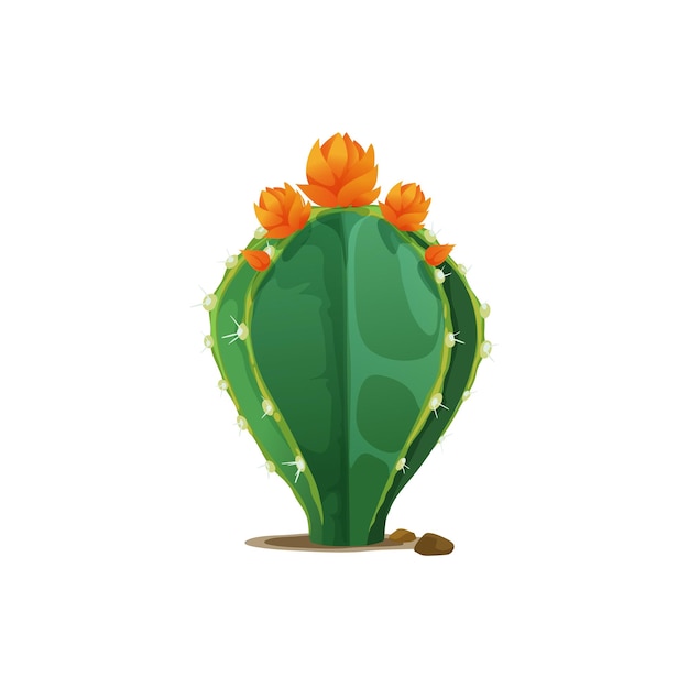 Orange flowers blooming on mexican green cactus