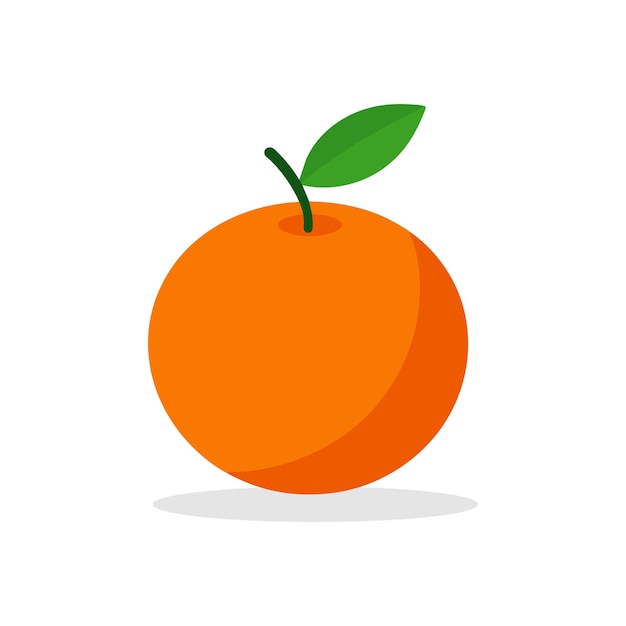 Orange fruit flat vector illustration on white background