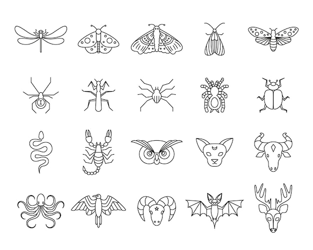 Outline icon set of mystic animals and insects