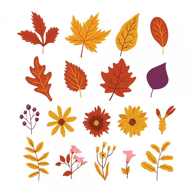 Vector pack of leaves and beautiful autumn flowers