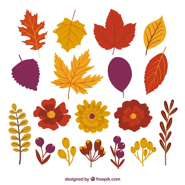 Vector pack of pretty autumn leaves and flowers
