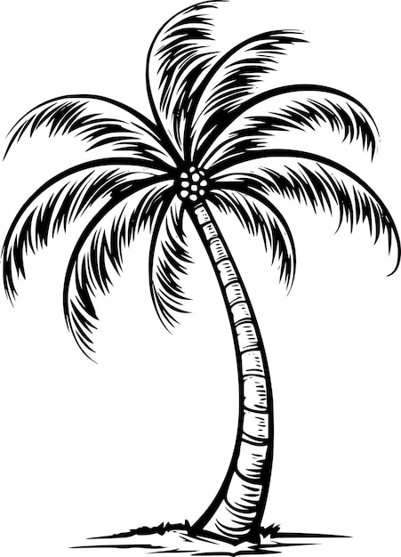 Palm Tree Silhouettes