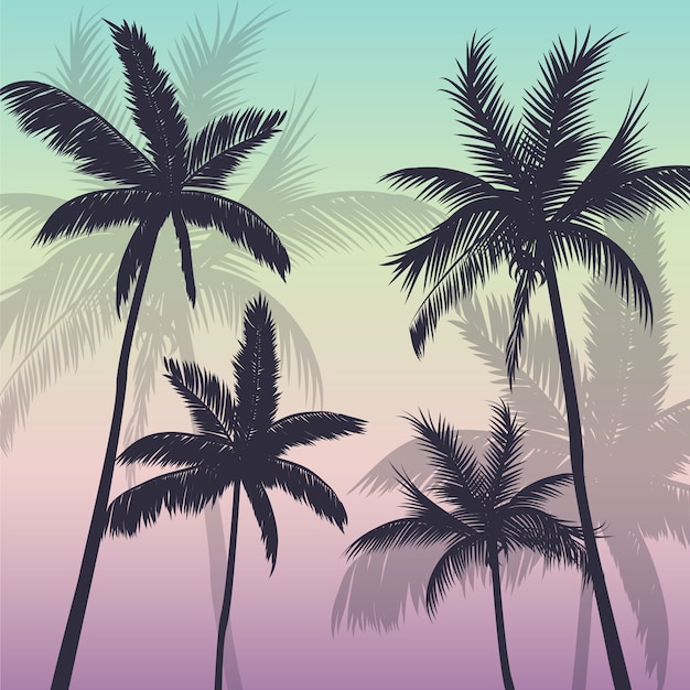 Palm trees background