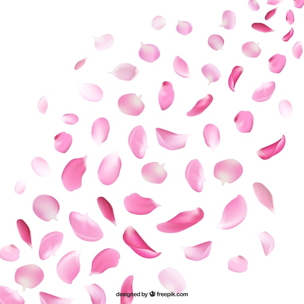 Vector petals of cherry blossom