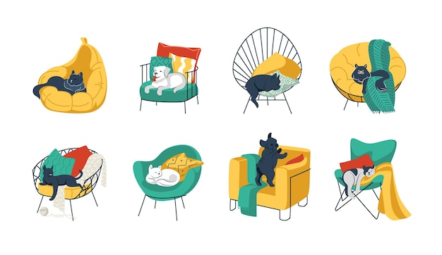 Pets in chairs Cartoon funny home animals in cozy armchairs Cats and dogs sleeping and resting on sofa Kittens playing on stools Vector bright furniture set with pillows and blankets