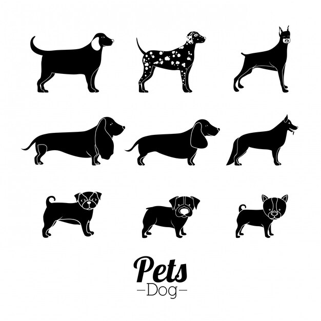 Pets design