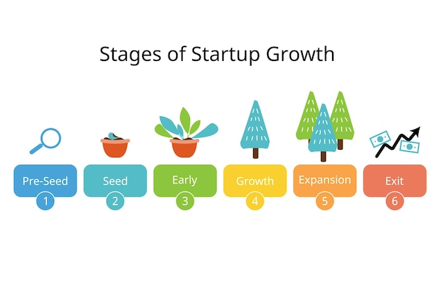 Vector a picture of various stages of growth of growth