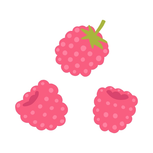 Vector pink raspberries illustration on white background cartoon style isolated fresh and vibrant