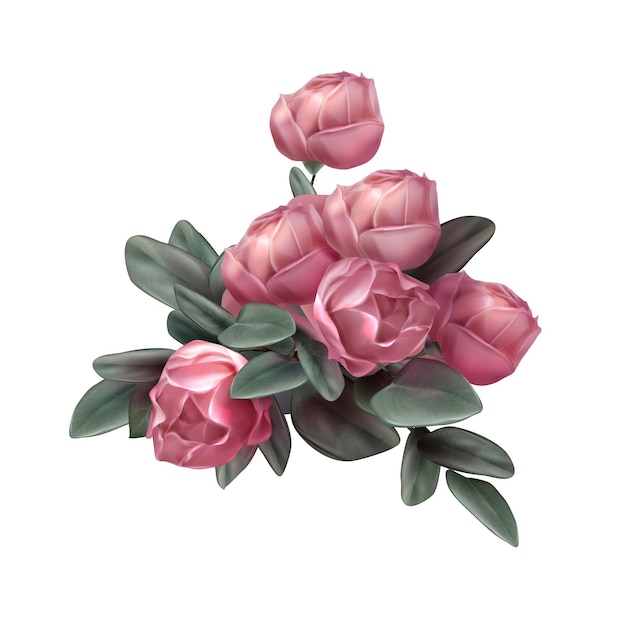 Pink rose flowers arrangement illustration