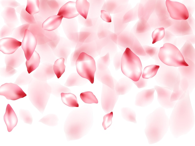 Vector pink sakura flower flying petals isolated on white vector backgr