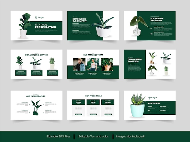 Vector plant indoor or green   presentation template