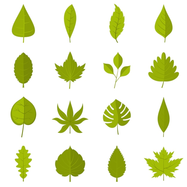 Vector plant leafs icons set in flat style