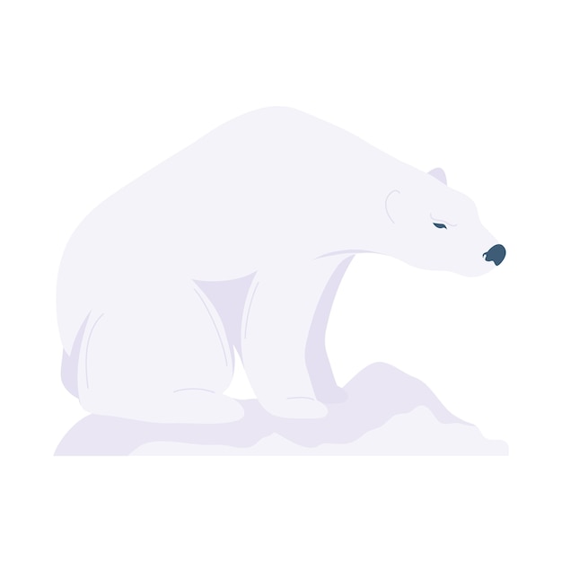 Polar bear animal wildlife icon