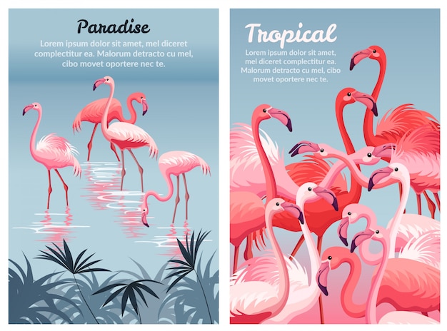 Poster template Flamingo. 