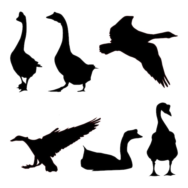 Vector premium vector seamless background snow goose on a white background