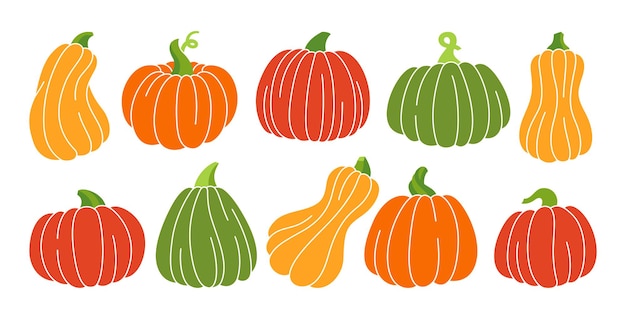 pumpkin colored trendy set autumn cartoon ripe whole pumpkins halloween or thanksgiving day symbol