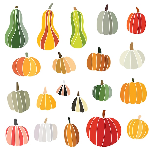 Pumpkin trendy vector illustration