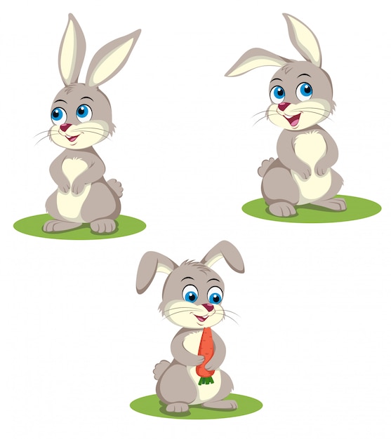 Rabbit Illustration