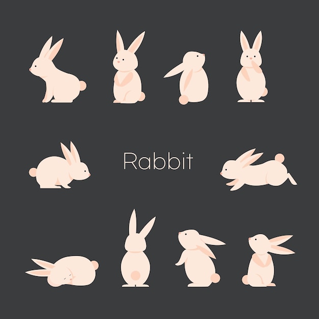 rabbit set