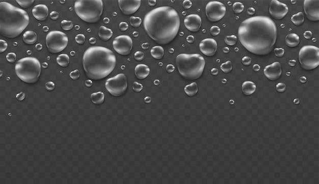 Rain water drops on transparent background Steam condensation water bubbles