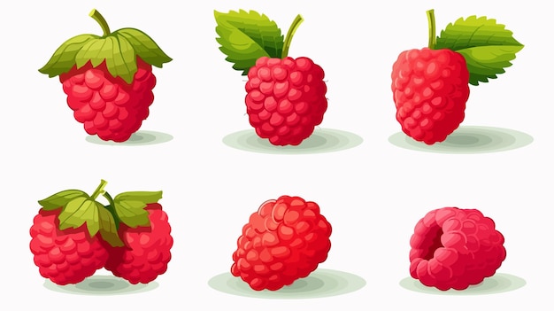 Vector raspberry logo template vector illustration