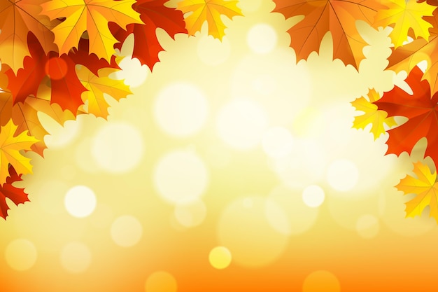 Realistic autumn background with leaves