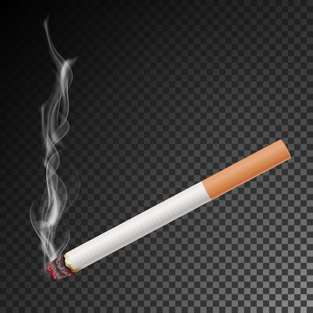 Realistic Cigarette With Smoke Vector. Isolated Illustration.