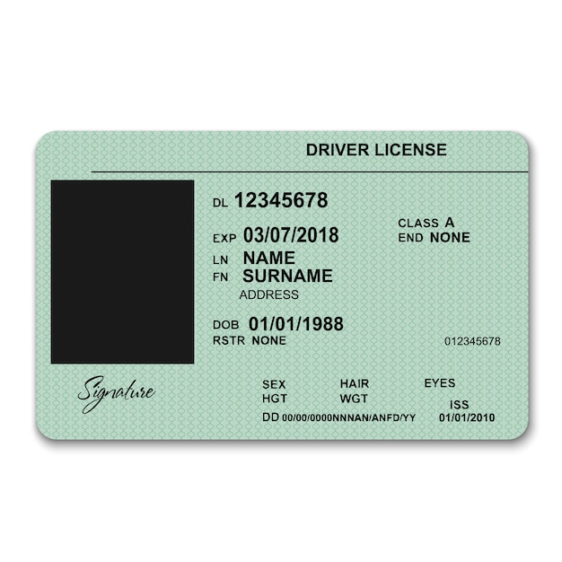 Vector realistic plastic driver licence front template