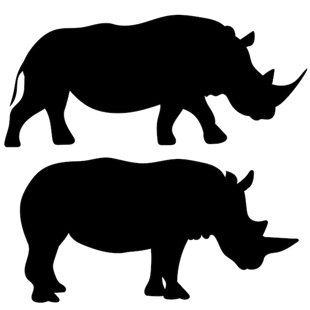 Rhinoceros silhouette on white background isolated vector