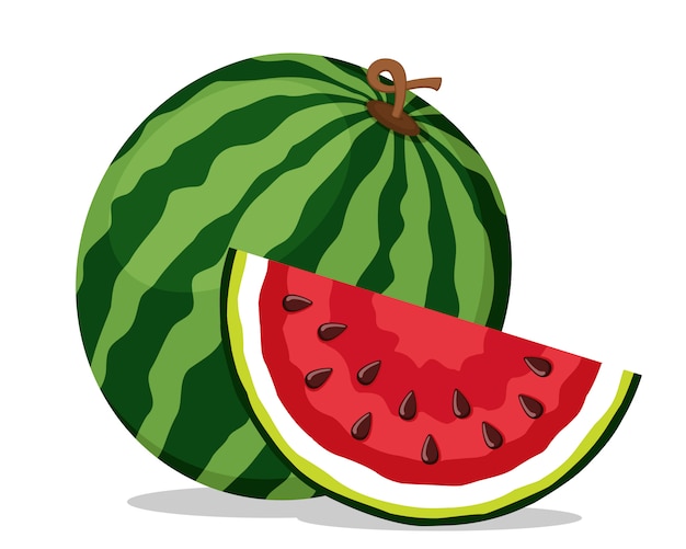 Ripe watermelon and juicy piece on a white background. Isolated