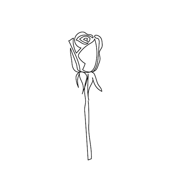 Rose, rosebud flower one line art. Continuous line drawing of plants, herb, flower, blossom, nature, flora, garden flowers. Hand drawn vector illustration.