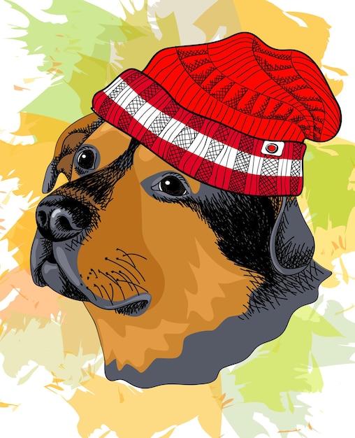 Rottweiler in baseball cap