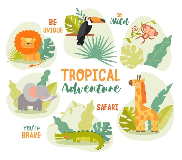 Vector safari animal collection