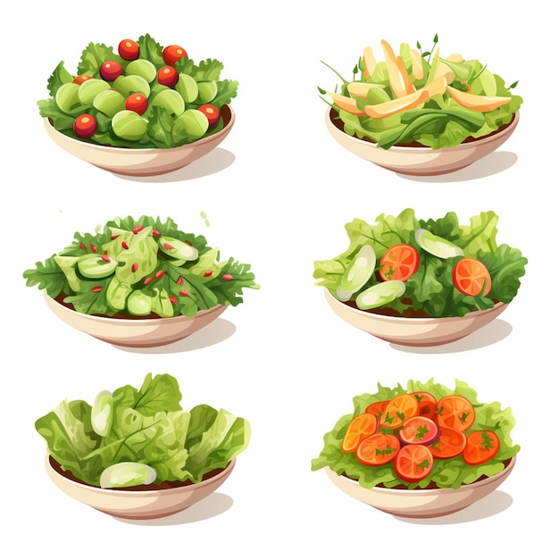 Vector salad food fresh illustration diet vector organic healthy vegetable nutrition bowl vegeta