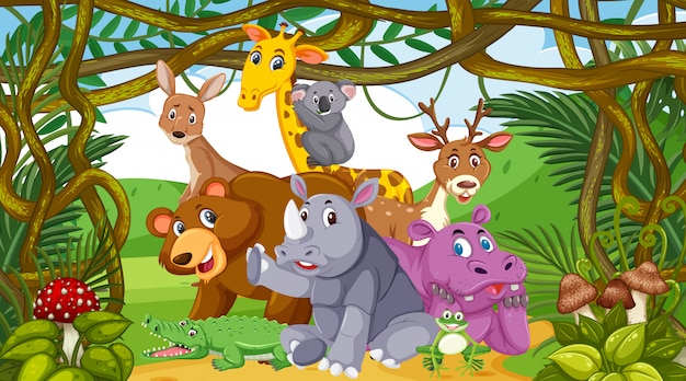 Vector scene with many wild animals in the forest