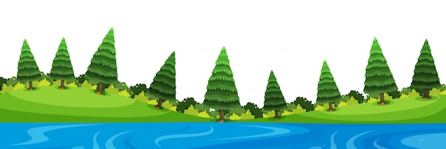 Scenery of pine trees and river