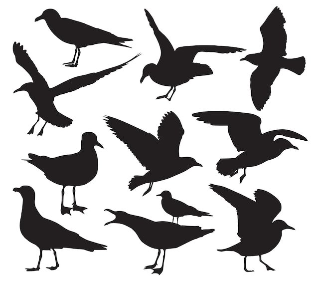 Vector seagull silhouette set