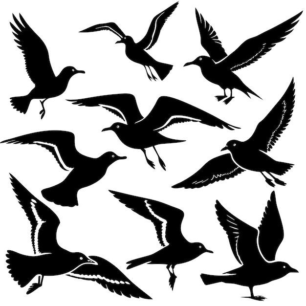 Vector seagull silhouettes on a white background