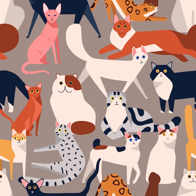 Vector seamless colored pattern with different cat breeds flat illustration. creative decorative background with various pet vector isolated on gray. funny cute domestic animal.