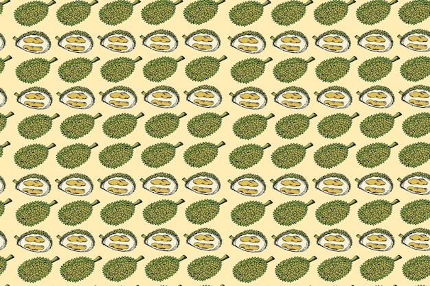 Vector seamless pattern durian vector drawing