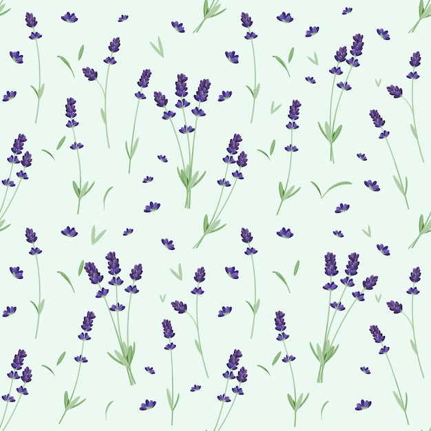 Seamless pattern with lavender. Flowers.