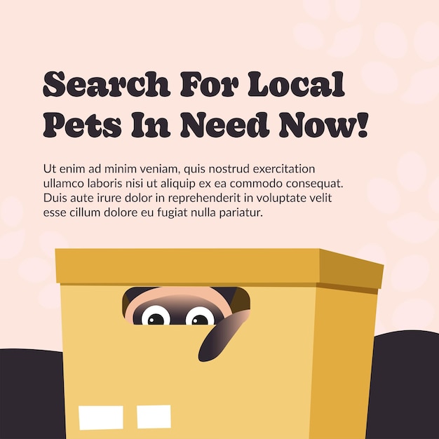 Search for local pets in need now ads banner