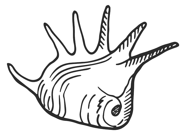 Seashell icon Hand drawn mollusk shell sketch