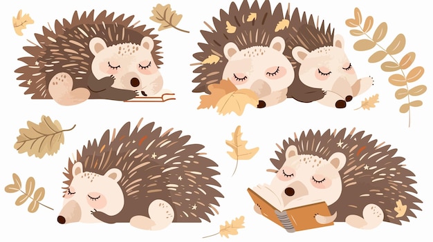 Vector a series of images of a hedgehog sleeping with a book in his hand