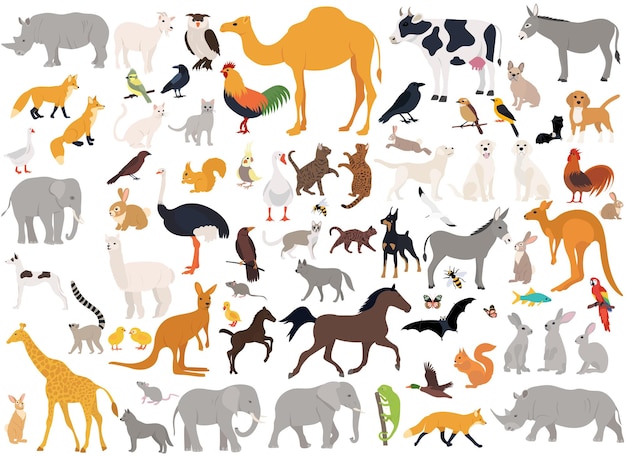 Set of animals flat design isolated on white background vector