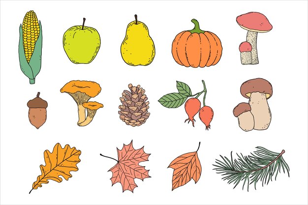 Vector set of autumn items in hand drawn style