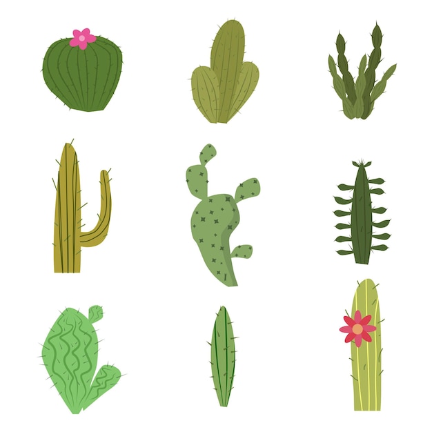 Set of cactus, funny cute plant, isolated