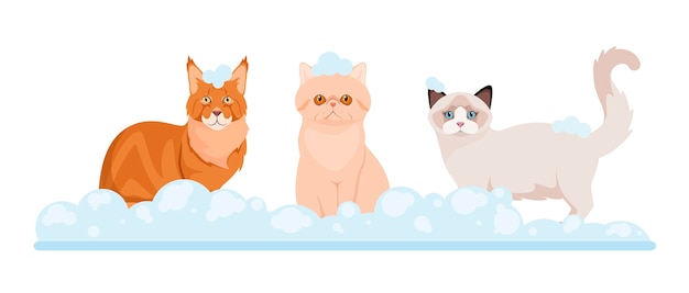 Vector a set of cats in soap foam grooming cartoon design