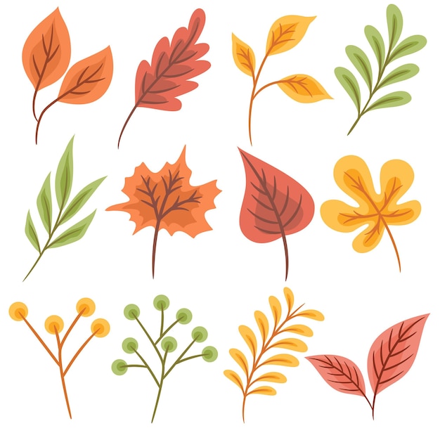 Set of colorful autumn leaves Isolated on white background