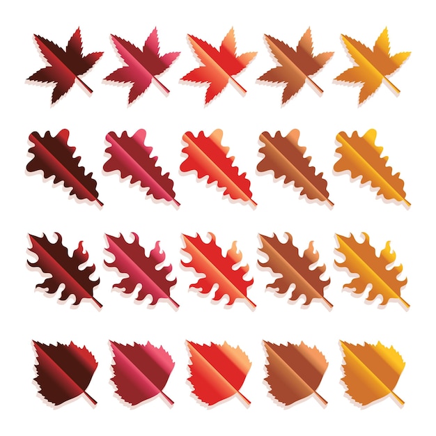 set of colorful autumn leaves